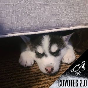 Meet your Posher, Tim